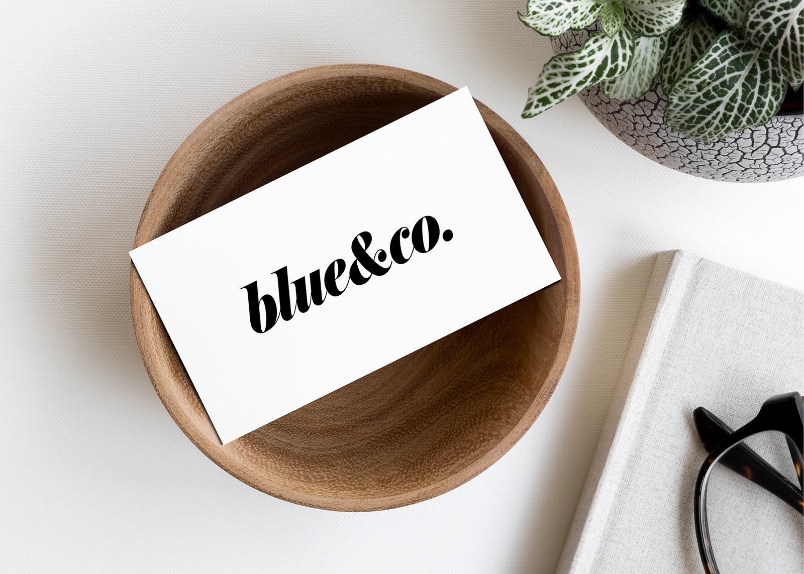 blue & co. business card