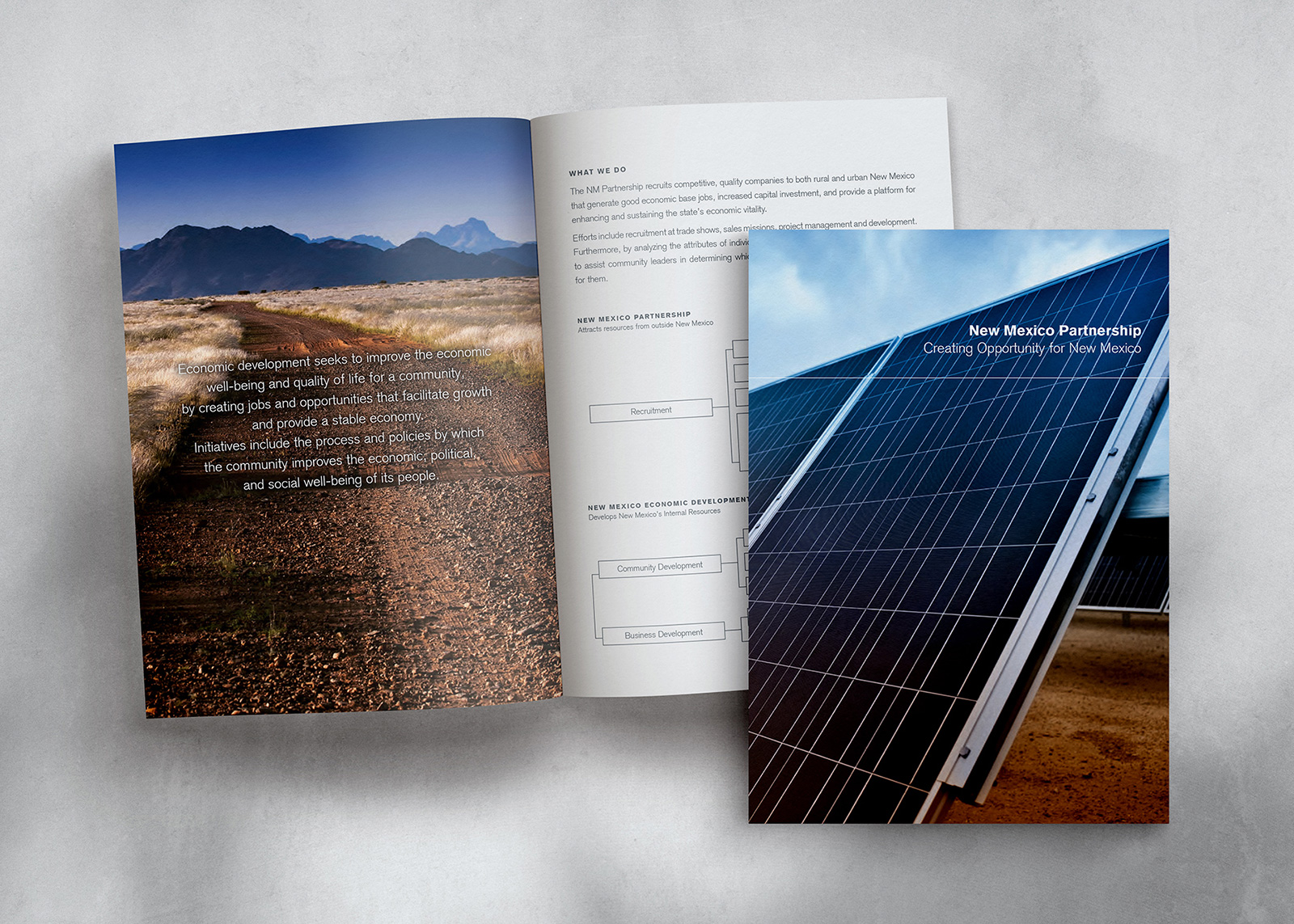 New Mexico Partnership legislative brochure