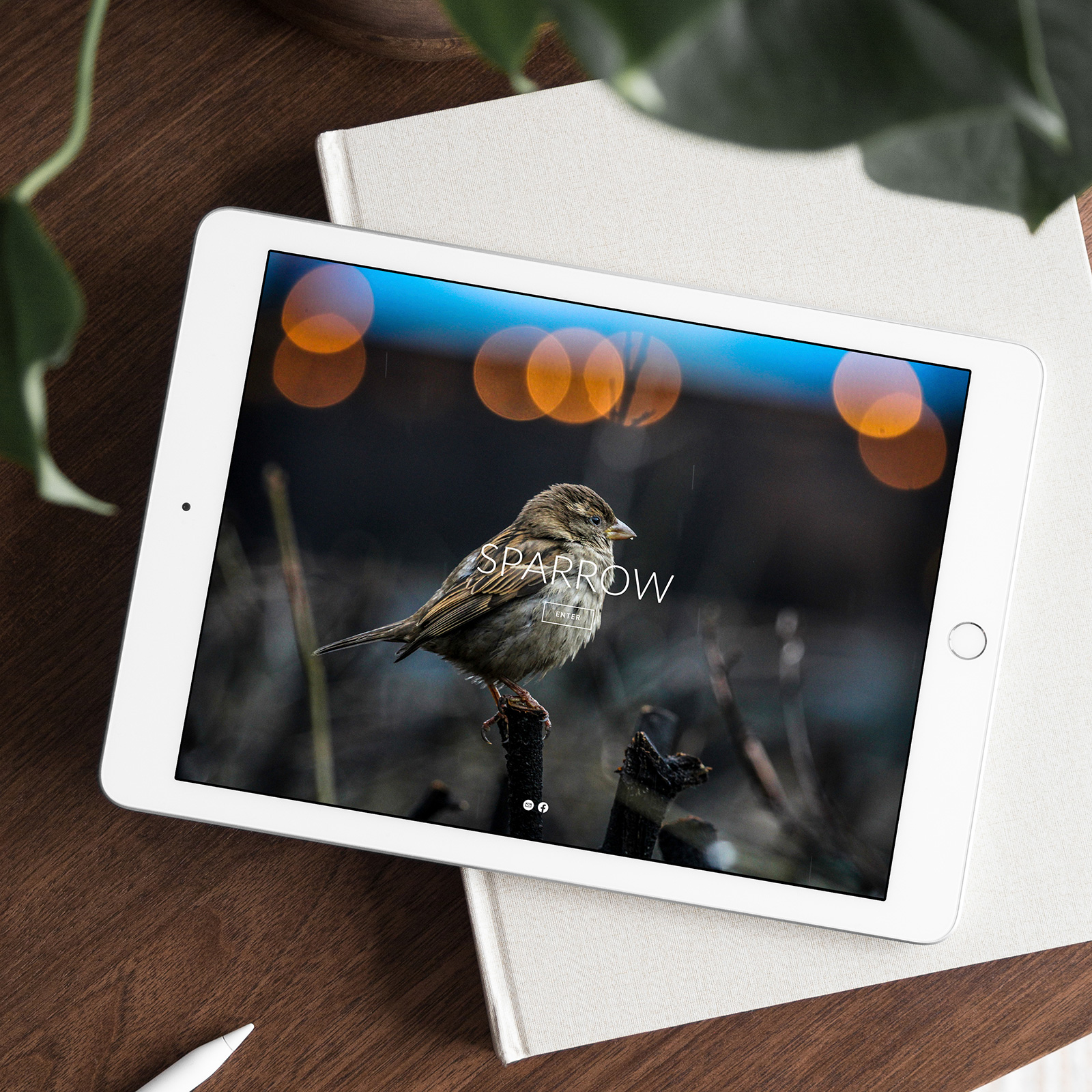 SSC web design